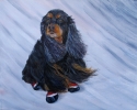 WINTER%20WINDS%20%20by%20Karen%20Peterson (thumbnail)