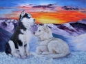 DOG%20SLEDDING%20DREAMS%20by%20Karen%20Peterson (thumbnail)