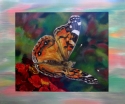 PAINTED%20LADY%20by%20Karen%20Peterson (thumbnail)