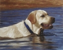 Henry