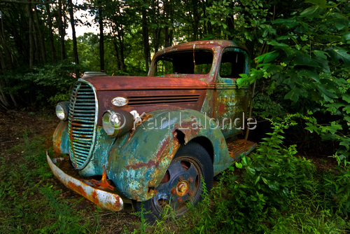 Photography-Peeking Out