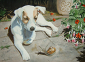 a%20sunny%20afternoon (thumbnail)