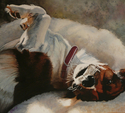 dozy%20dog (thumbnail)