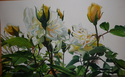 white%20roses (thumbnail)