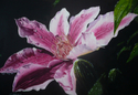 karolyn mort - Floral Painting flowers,floral,rain,pink,winchester,uk,watercolour,karolyn, - Floral Painting