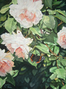 lorraine%27s%20roses (thumbnail)