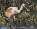 Down%20In%20The%20Bayou (thumbnail)