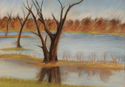 New%20Years%20at%20Brazos%20State%20Park%20 (thumbnail)