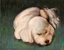 Parker%20Giclee (thumbnail)