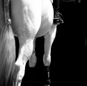 Kate Houlihan - Backgate 