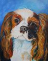 Cavalier%20King%20Charles%20Spaniel (thumbnail)