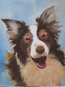 Sadie-%20Border%20collie (thumbnail)