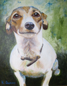 Jack-%20Jack%20Russell%20Terrier (thumbnail)