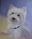 Jenny-%20West%20Highland%20WhiteTerrier (thumbnail)