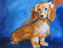 Longhaired%20Dachshund (thumbnail)