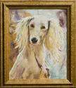 Salome-%20Saluki (thumbnail)