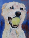 Rudy (thumbnail)