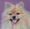 Lacey (thumbnail)
