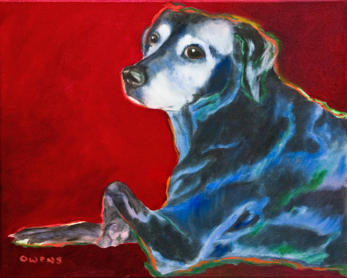 Cordelia-%20Labrador%20Retriever (large view)