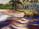 Kathy Esnard - Costa Rica Friday