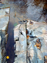 Gazing Into The Pool photography Gazing%20Into%20The%20Pool%20photography (thumbnail)