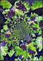 kathleen Othon - Jungle Flowers