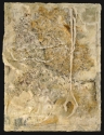 Metamorphosis%20VII (thumbnail)