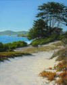 VIEW%20FROM%20THE%20DUNES (thumbnail)