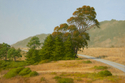 %22AFTERNOON%20ON%20COAST%20HIGHWAY%201%22 (thumbnail)