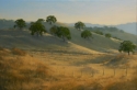 CALIFORNIA%20HILLS%20AFTERNOON (thumbnail)