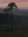 Last%20Light%20-Coastal%20Prairie (thumbnail)