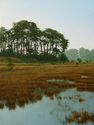 Indian%20Island%2C%20High%20Tide (thumbnail)