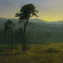 Afternoon%20Light%20Coastal%20Prairie (thumbnail)