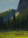 Granite%20Shine%2C%20Yosemite (thumbnail)