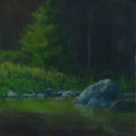 Summer%20Reflections (thumbnail)