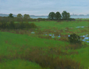 After%20The%20Rain (thumbnail)