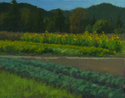 Farm%20Rows (thumbnail)
