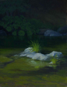 River%27s%20Light%20and%20Shadow (thumbnail)