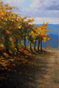 Edge%20of%20The%20Vineyard (thumbnail)