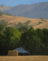 Napa%20Barn%20In%20Summer%20Light (thumbnail)