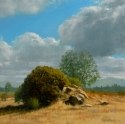 Passing%20Clouds%20-%20Sierra%20Foothills (thumbnail)