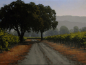 Morning%20Light%20In%20The%20Vineyard (thumbnail)