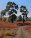 VALLEY%20OAKS (thumbnail)