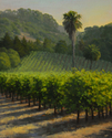 VINEYARD%20LINES%20AND%20SHADOWS (thumbnail)