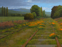 CALIFORNIA%20TRANSFORMATION (thumbnail)