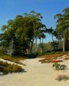 DUNES%20AND%20EUCALYPTUS (thumbnail)