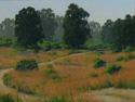 COASTAL%20PRAIRIE%20GRASSES%20AND%20EUCALYPTUS (thumbnail)