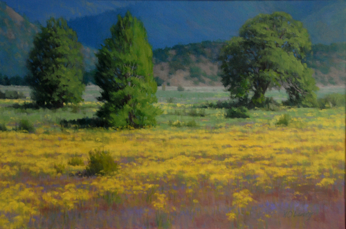 Scotts%20Valley%20Wild%20Flowers (large view)