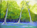 Texas%20Bluebonnets (thumbnail)