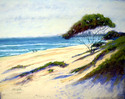 Shelling%20on%20the%20Beach (thumbnail)